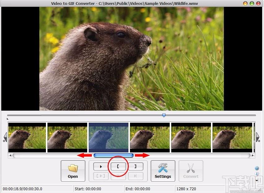 Video to GIF Converter,视频转gif转换器,视频转gif